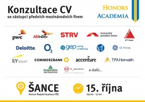 konzultace CV